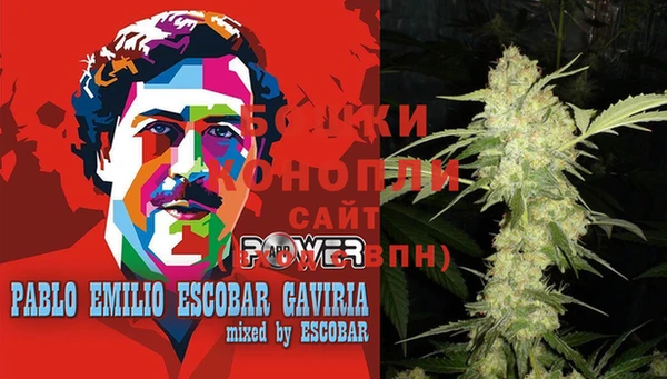 прущие крисы Пестово