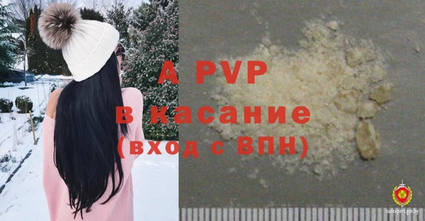 прущие крисы Пестово