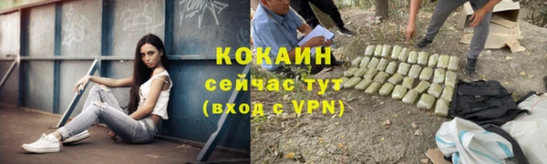 винт Переславль-Залесский